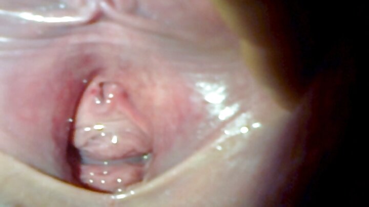 ଏକ ଯୁବକ ତାଙ୍କ ଡିକ୍ ସହିତ ତିନି ଭଉଣୀଙ୍କୁ ଫିଙ୍ଗିଲେ