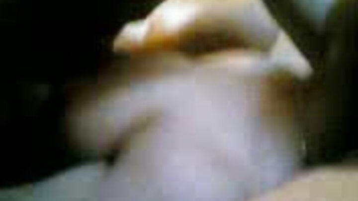 ଋଷୀୟ ଝିଅ ପ୍ୟୁର୍ କିଟି ତାଙ୍କ ଗଧକୁ ଚୁଚୁମି
