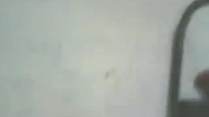 ପିଓଭି ପର୍ଣ୍ଣରେ କାଲି ରୋଜେସ୍ ଏବଂ ହେଜେଲ୍ ଗ୍ରେସ୍