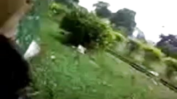 ରୁଷୀୟ ପର୍ଣ୍ଣ ଯେଉଁଠାରେ ଜଣେ ପୁରୁଷ ସୁନ୍ଦର ପ୍ରେମିକାଙ୍କୁ ଚୁଚୁମିଥାନ୍ତି